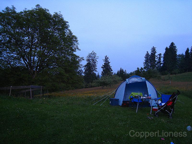 IMG_4913.JPG - Our camping site at the organic farm in Switzerland.