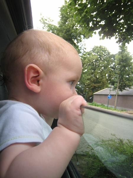 IMG_2812.JPG - Sprocket looking out the window and chewing on the edge as we wait for Dutch Boy to pick up a few last minute items (ie, diapers) in the nearby town of Driebergen. That means three mountains, but I didn't see any.