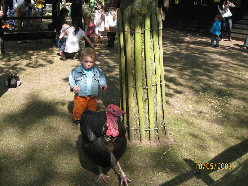 IMG_0696.JPG - Photo by M