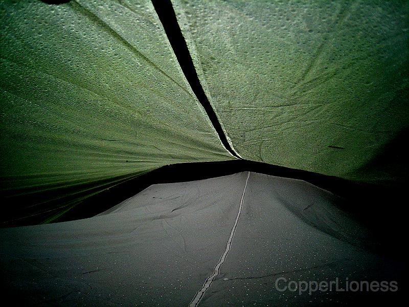 IMG_6737.JPG - Between the outer tent and the inner - note the drops of water on the inner tent (I manipulated the photo so they'd show up).