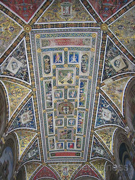 IMG_6884.JPG - And its ceiling.