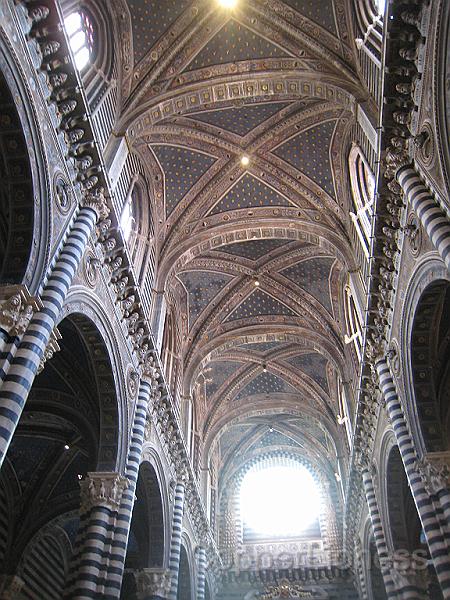 IMG_6885.JPG - The cathedral ceiling.