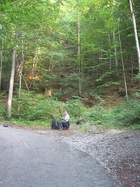 IMG_3382.JPG - He picked an odd place to busk, along the steep and not as taken path down, but it was cool hearing him play in the quiet forest.